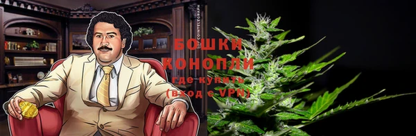 каннабис Каменногорск
