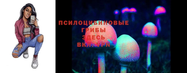 ешки Инсар