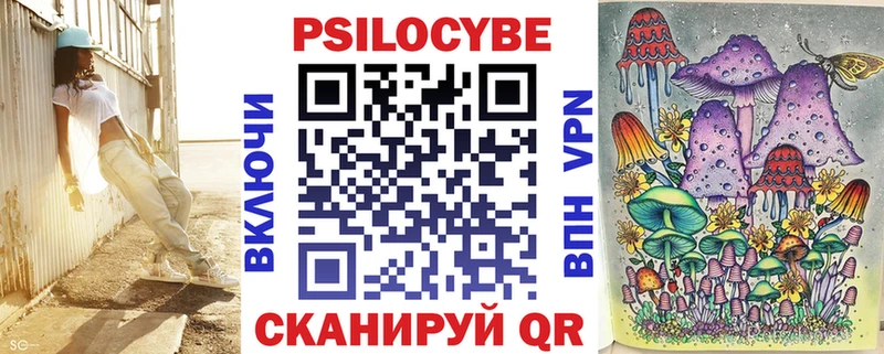 Купить  Кизляр  Галлюциногенные грибы Psilocybe 